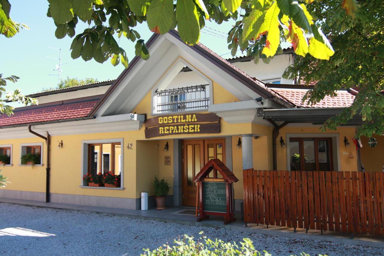Penzion Repanšek Radomlje Bagian luar foto
