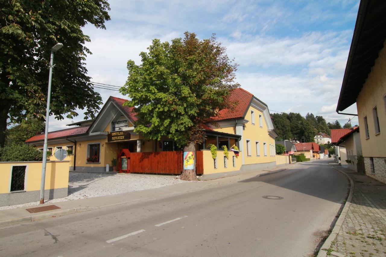 Penzion Repanšek Radomlje Bagian luar foto